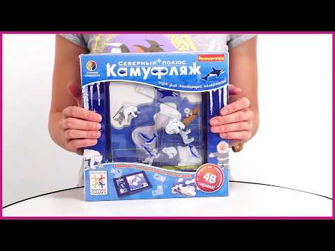 Bondibon Логическая игра Камуфляж, Северный Полюс ВВ0516