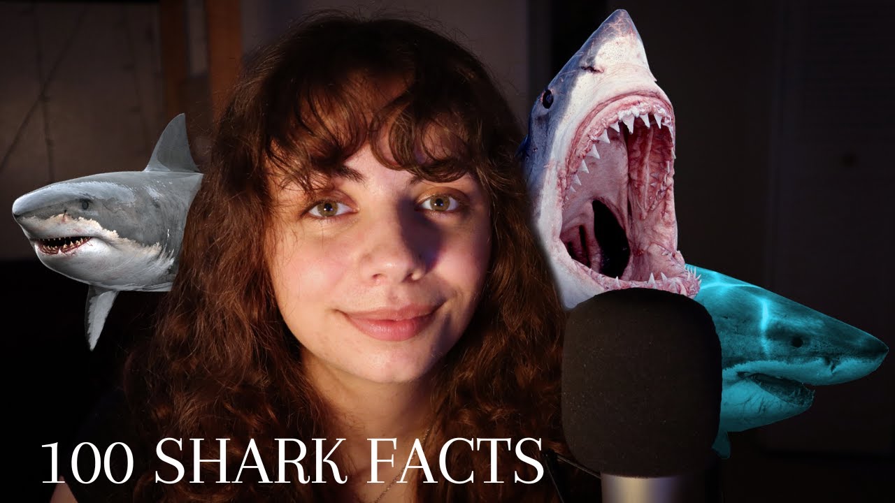 ASMR | 100 Facts About Sharks ~ whispered