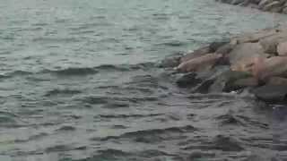 Hypnosis for Stress Relief and Creative Problem Solving