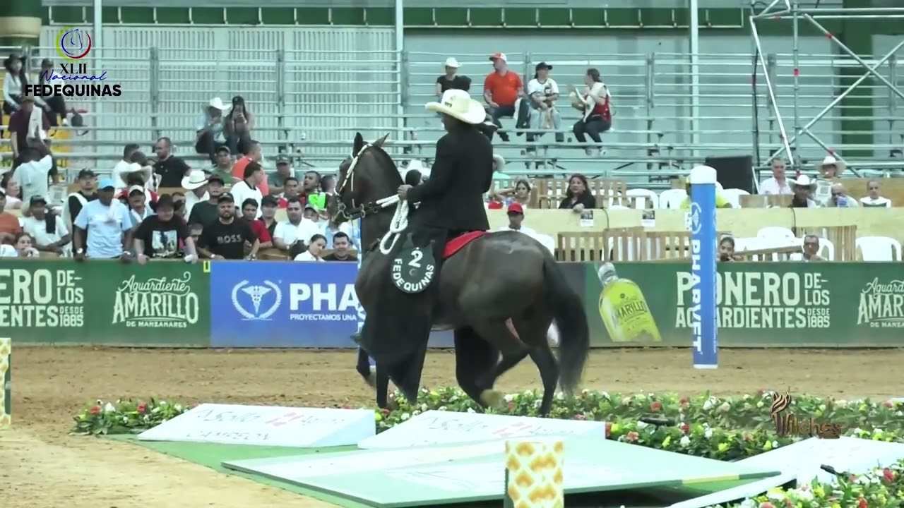 TRIUNFO DE SANTANA, TERCER PUESTO CAMPEONATO JOVEN TROCHA Y GALOPE EXPO NACIONAL BUCARAMANGA 2026