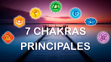 ¿Cuáles son los 7 niveles de chakra?
