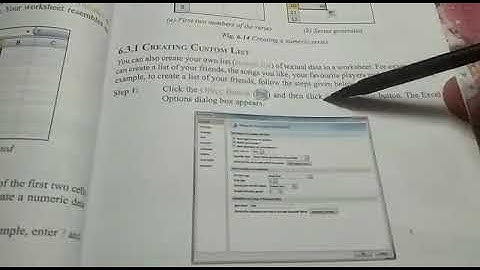 Class 6 Computer Ch 6 More on Excel Part 4 M.M. Model School online classes Class VI