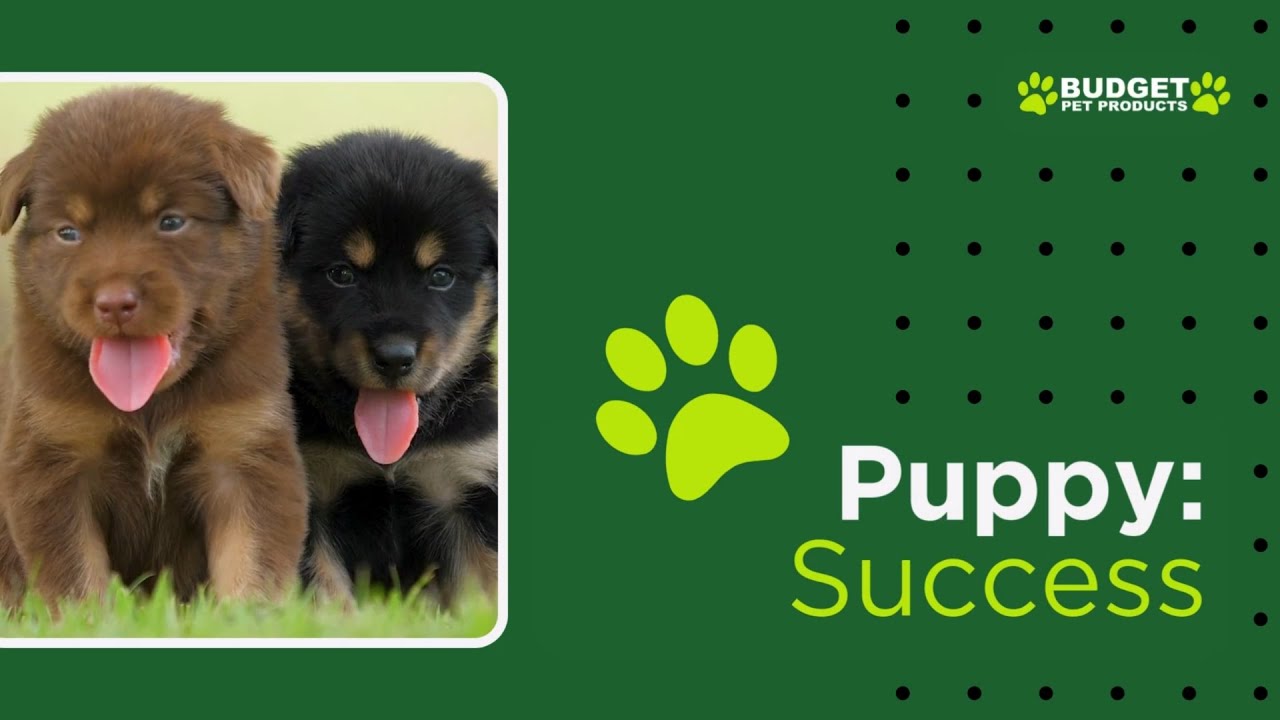 Puppy Success | New Puppy Guide | Budget Pet Products