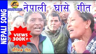 Nepali Ghase Geet । जात्रा मेलापातमा गाउने घाँसे गीत 2074 HD
