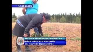 EMERGENCIA AGRICOLA EN LOS LAGOS