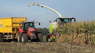 Mais hakselen bij Mts Hekman door loonbedrijf Reimink met hun Claas Jaguar 950 (2020)