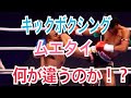 5分で分かる、ムエタイとキックボクシングの明確な違い