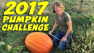 Our Entry for the 2017 #homesteadpumpkinchallenge