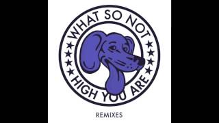 Video thumbnail of "What So Not - High You Are (The Only Remix)"