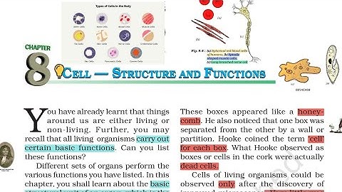 CBSE NCERT CLASS VIII SCIENCE CHAPTER 8 "CELL - STRUCTURE AND FUNCTIONS " PART 1