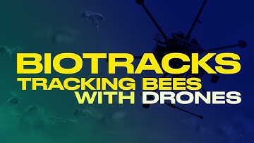 Biotracks: Tracking Bees With Drones