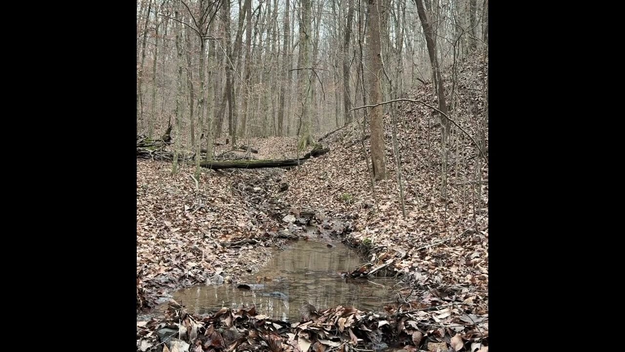 Bubbling brook with guided imagery