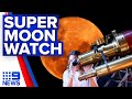 Australian stargazers to witness super blood moon | 9 News Australia