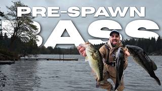 How To Find Bass Before The Spawn ( Western Washington )