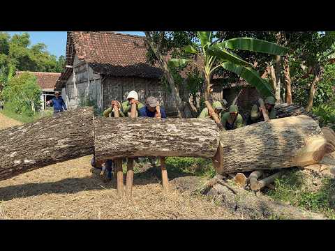 Nearly Destroyed! Monster Stihl MS 881 Trapped Under Extreme Leaning Tree!