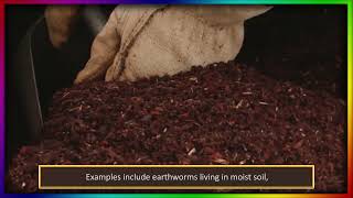 CHAPTER-12 TOPIC-12.3 WHAT ARE THE DIFFERENT TYPES OF INTERACTIONS AMONG ORGANISMS AND THEIR SURR...