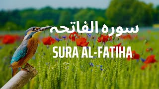 Sura Al fatiha سورہ الفاتحہ