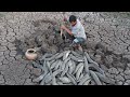 Unbelievable fishing in dry season  catfish underground secret dry soil by fisherman skills