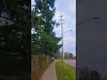 night shift vibes ✨️ #grind#day#afterwork#livin#furrybaby#youtube#travle#walk#shorts