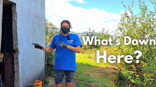 We Finally Explored the Forgotten Rooms Under Our Old Farmhouse