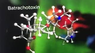 Batrachotoxin Tetrahedral Quadrant