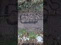 Graffiti! - optisch ansprechender Tag! - small bird - "Ist das Kunst oder kann das weg?"