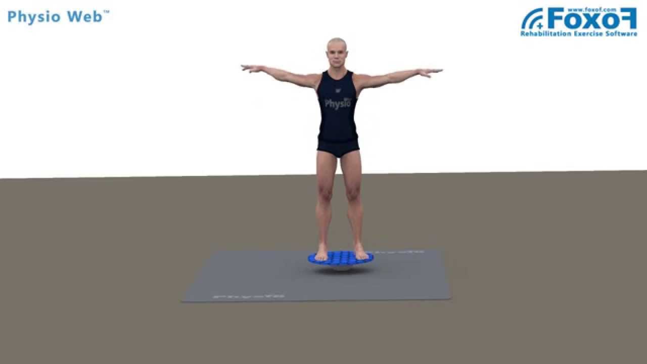 EX018 - Exercice : Proprioception sur plateau d'équilibre - YouTube