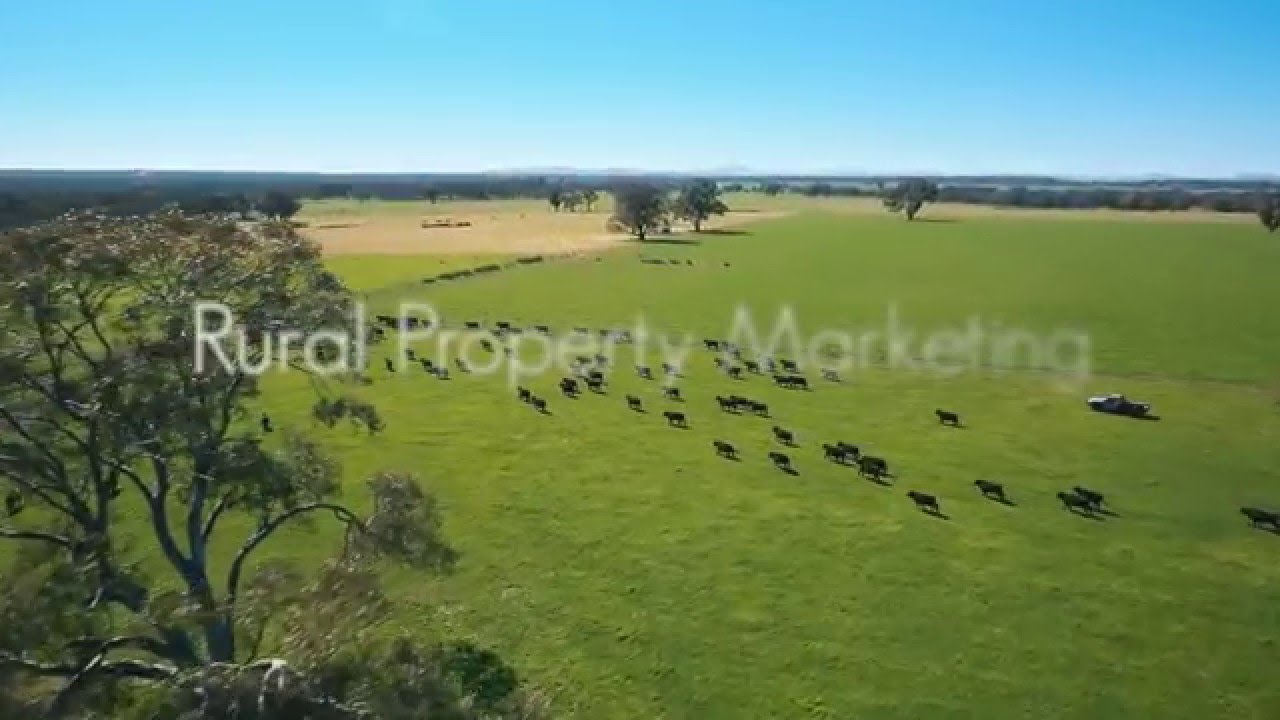 Inglis Rural Property YouTube