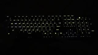 COX CK800 카일 광축 키보드 LED 테스트 2