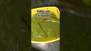Green Mango Chutney - कैरी पुदीना चटनी - Raw Mango Mint Chutney