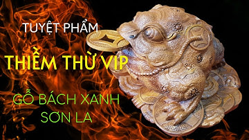 Tuyệt Phẩm Thiềm Thừ Cóc 3 Chân Gỗ Bách Xanh Sơn La | Mua Trả Góp LS 0%