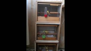WP 20151013 004