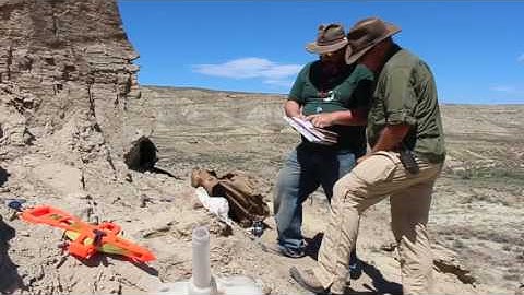 Episode 4: Ask Our Experts: How Do We Dig Up Fossils?