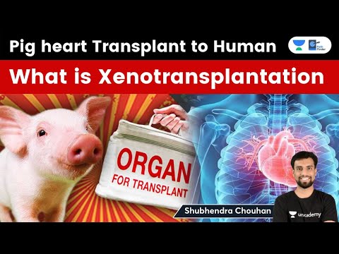 वीडियो: क्या xenotransplantation किया गया है?