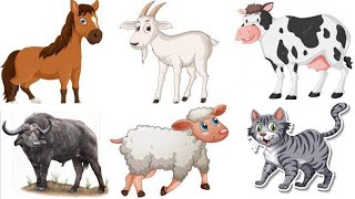 English to Spanish | Learn Farm Animals  spanish learnspanish animals