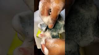 Soapy sponge ripping #spongeasmr #relaxing #rippingsponge #satisfying #spongeasmr
