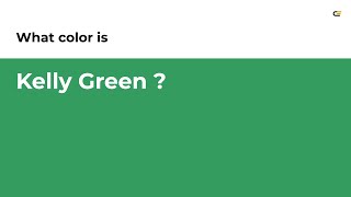 Kelly Green color #339c5e hex color - Green color - Warm color 339c5e