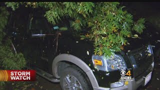 Families Cleanup After Massive Storm Knocks Down Trees In Milford