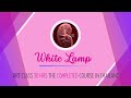 ตัวอย่าง ep 1 Urinary System | White Lamp ep. RRT 30 hrs the online-completed class in Thailand