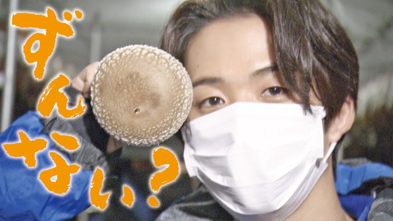 【思わずウフフ】まさかの食べ方！ずんないしいたけ