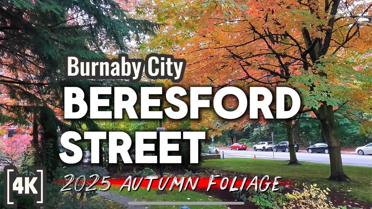 🇨🇦Beresford Street Burnaby City 2025 Autumn Foliage Walking Tour 🍁🍁🍁