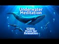Underwater Meditation, 528Hz Music for Relaxation