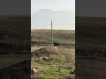 9 октября 2025 г.