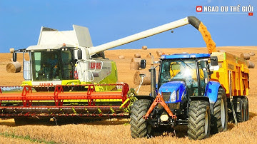 Thu hoạch lúa mì ở Mỹ và các quốc gia xuất khẩu lúa mì hàng đầu trên thế giới.