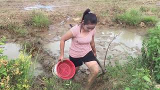 Wow Y Girl Fishing At Battambang Province In Cambodia Traditional Fishing