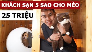 Khách sạn 5 sao cho mèo 25 triệu (Oops Banana Vlog #86)