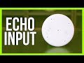 Echo Input Review - The Cheapest Amazon Echo Device!
