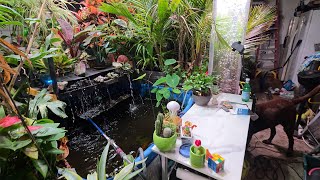 Moving Plants and Working In The Greenhouse