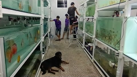 Sand Discus - ปัญหาใหญ่ที่เกิดขึ้นกับชุดตู้ปลาของคุณแซนด์/ใช้งานประมาณ 1 เดือนเศษ โครงเหล็ก&รั่วซึม