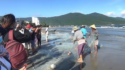 Xem Ngư Dân Giăng LƯỚI  dài 300 mét bắt CÁ trên bãi biễn Đà Nẵng - Catch fish on the sea